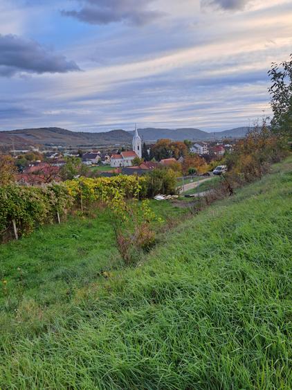 VILA NOUA,MODERNA CU 2100 METRI PATRATI TEREN-VIISOARA - 24