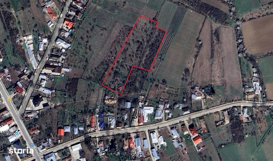 Teren intravilan 8.759 mp cu casa + vie | Utilita?i complete - 8