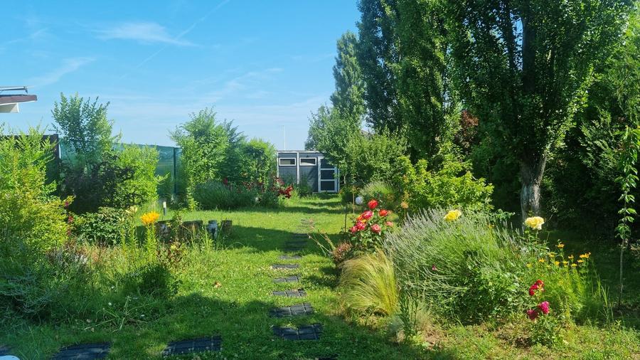 Proprietate exclusivistă în Corbeanca Park – Oază de eleganță și confort - 2