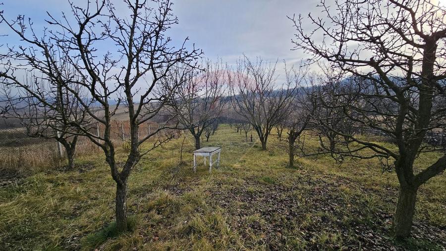 Teren extravilan 10,791mp Falticeni / Strada DJ209A, Opriseni - 16