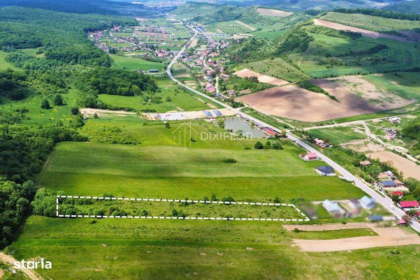 Teren intravilan | 7 parcele | Ivanesti (com. Livezeni) - 2