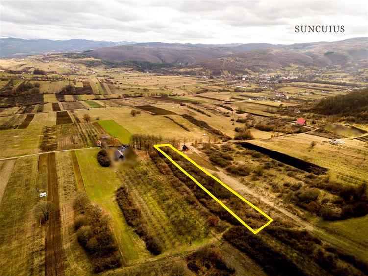 RECO Teren intravilan  Zona Vadu Crisului Bihor - 1