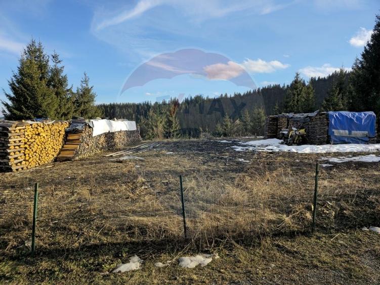 VILA ORHIDEEA  PENSIUNE  DE VANZARE IN STATIUNEA  PALTINIS JUD SIBIU - 34