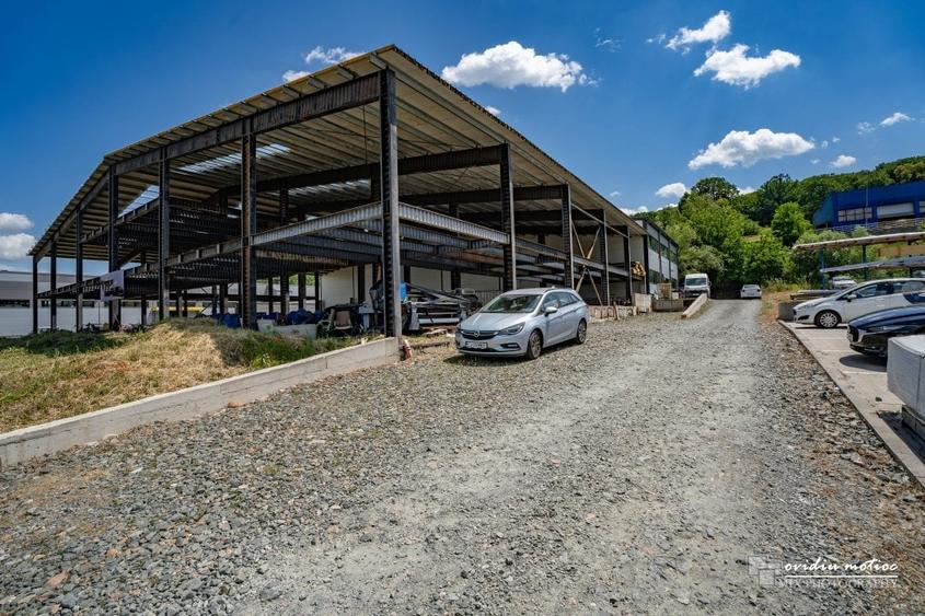 Hale in parcul Tetarom I - 12