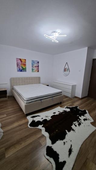 Apartament cu o camera, renovat, Podu Ros - 11