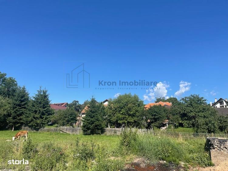 Teren Moieciu de Jos - 9