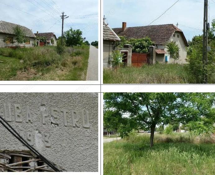 Cota de 1/2 din casa si teren, loc. loc. Graniceri, jud. Arad - 1
