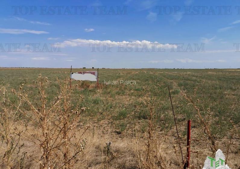 Teren zona Next Dovinot, Mihailesti DN6 5619mp D - 41.50m