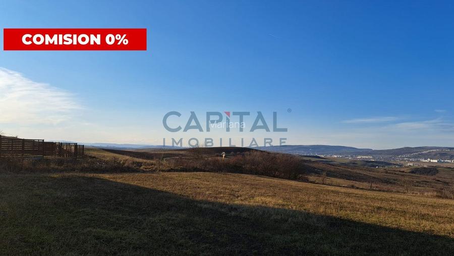 Teren extravilan 4 300 mp, expunere sudica Teren extravilan 4 300 mp, expunere sudica