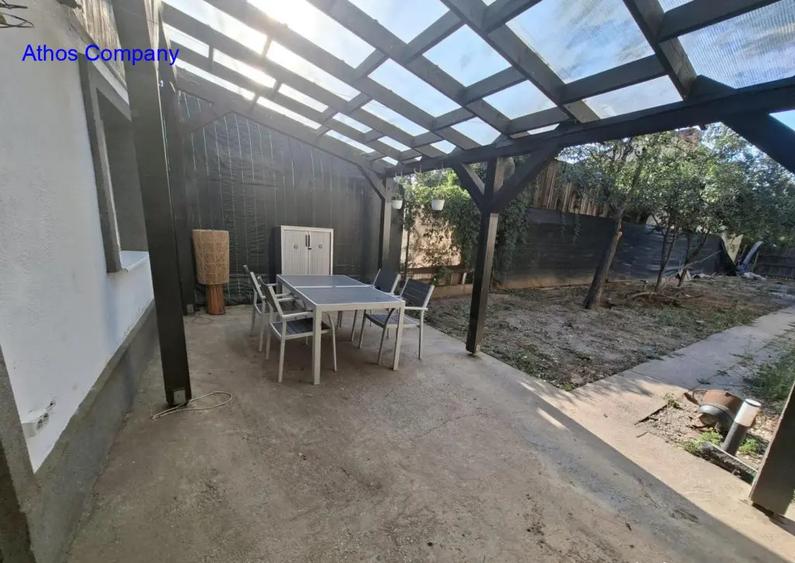 Bdul Ion Mihalache- Pta Chibrit - 8