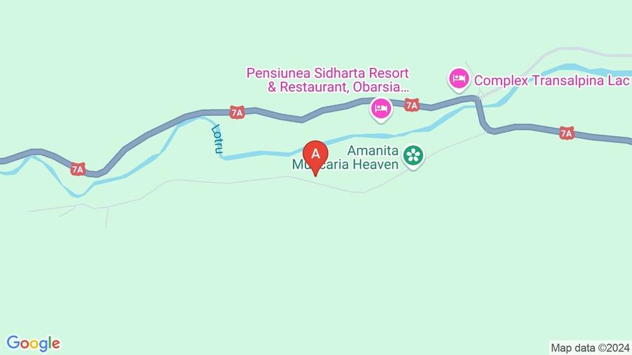 2 terenuri in zona Obarsia Lotrului - 1