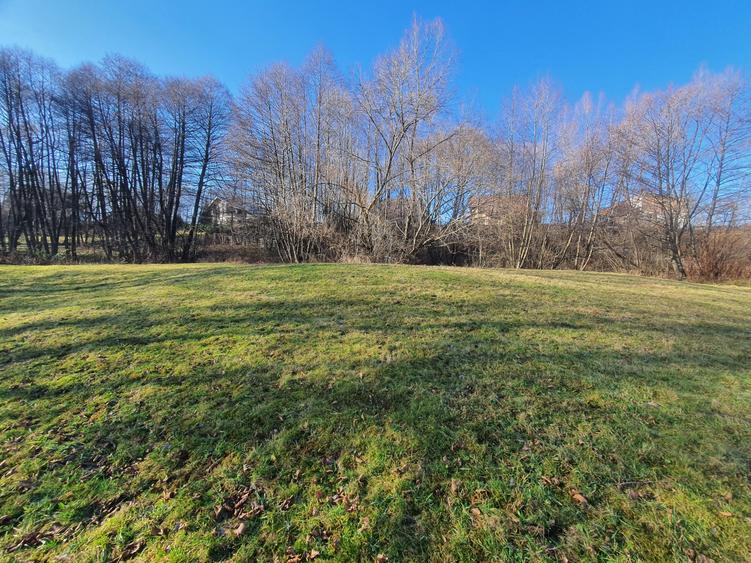 Teren rezidential zona Bran Predelut zona de case si pensiuni - 2