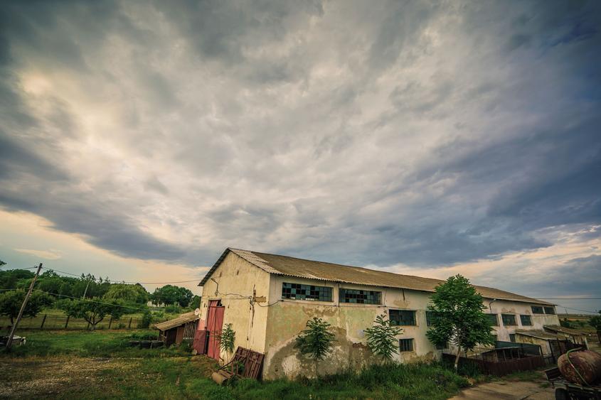 Inchiriere hala pentru depozitare sau productie  – Poarta Alba - 3