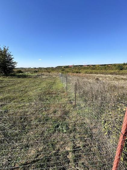 Teren Mogosoaia 624mp (proprietar) - 3