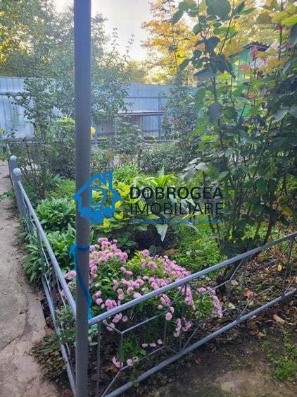 MINERI -CASA 4 CAMERE , SUPRAFATA CONSTRUITA  126MP, TEREN 1462 MP - 6