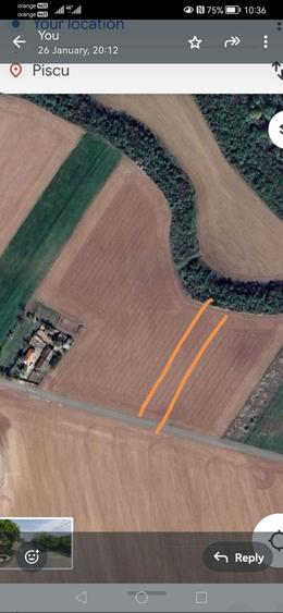 Teren de vanzare Piscu-Ciolpani 7000mp - 5