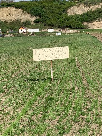 Spațiu comercial, în Central