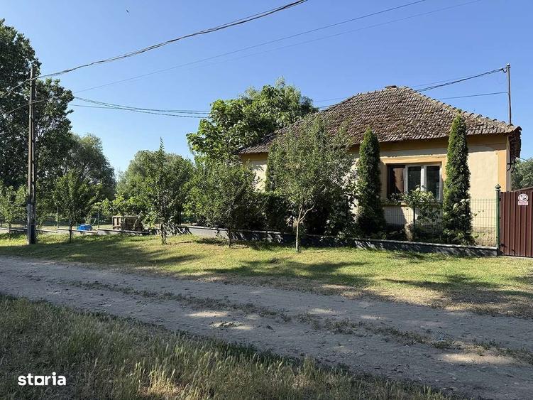 Catun / Ferma autorizata Tip A pentru crtesterea porcilor - IMOBIHOR - 8