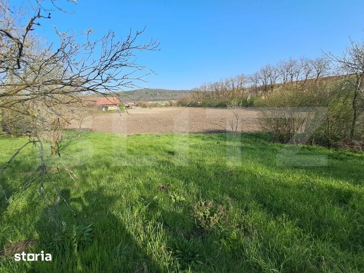 Casă cu 4 camere cu Teren 15000 Mp în Bichiș
