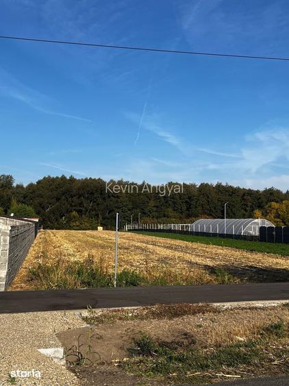 De vanzare 2 terenuri intravilane in Santau Mic 1.000 mp fiecare