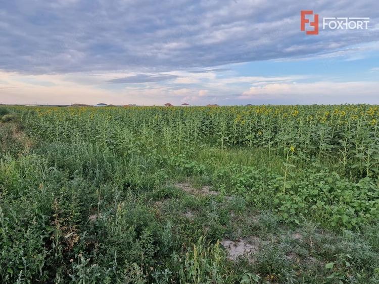 Teren intravilan de 2100 mp de vanzare in Remetea Mare - 1