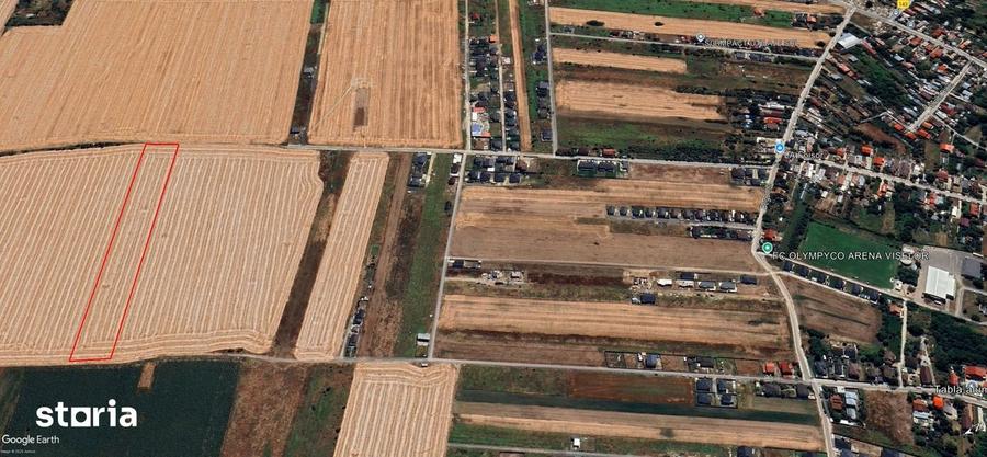 Teren intravilan 12.500 mp Dragomiresti Vale, Str. Lalelelor - 4