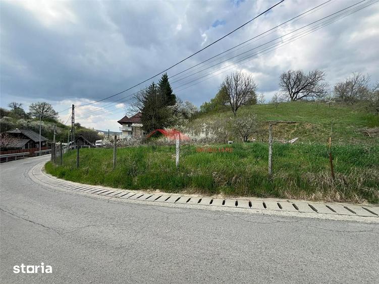 Teren intravilan 31 ari, Valea Budacului - 4