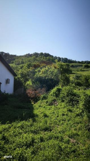 Casă cu 4 camere cu Teren 1694 Mp în Biertan
