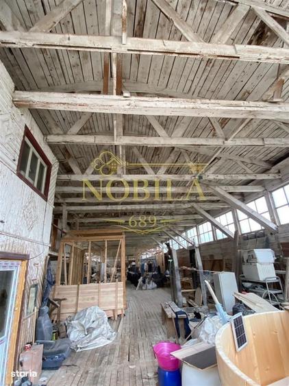 Spațiu comercial, în Agăș