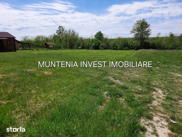 Teren de 630 mp, în Albota