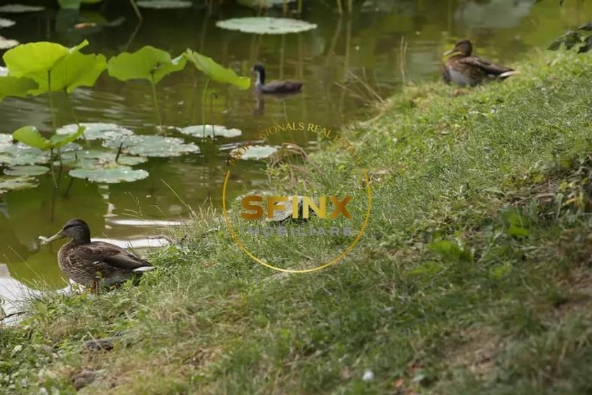 Casă individuală cu 5 camere cu Canalizare în Parcul Circului