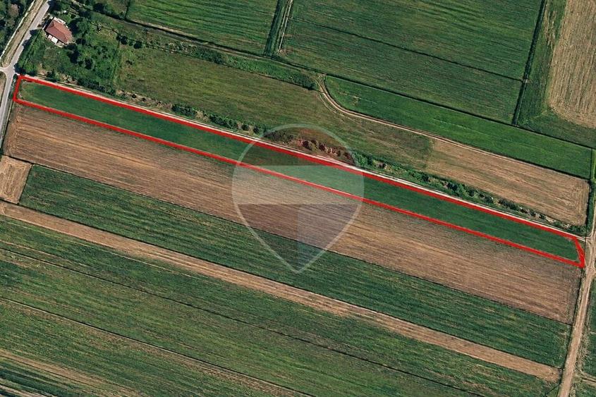 Teren agricol extravilan de 14100 mp, în Gai