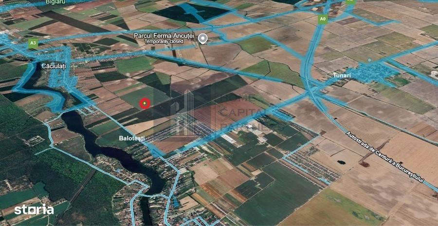 Teren de vanzare 10.000 mp | Caciulati, Moara Vlasiei | Balotesti - 2