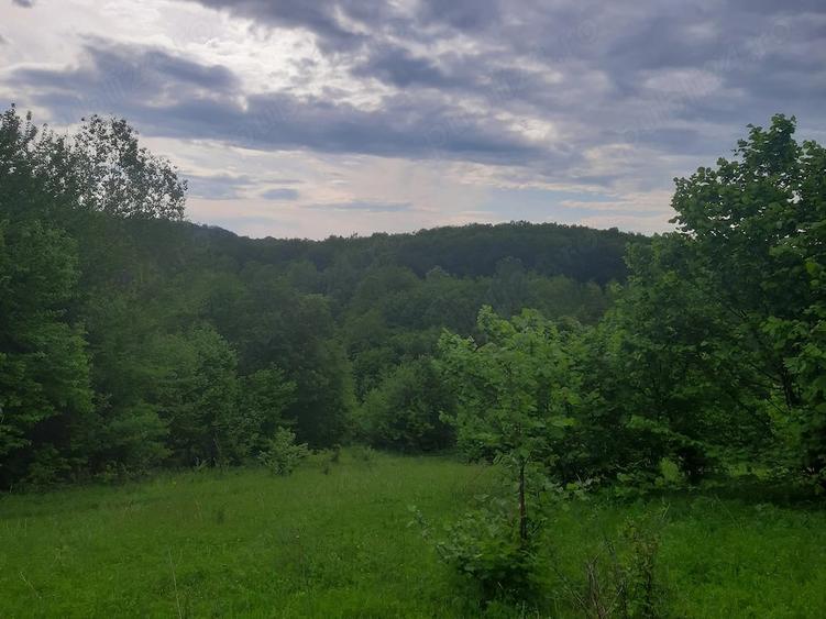 Teren de 2200 mp, în Dăești