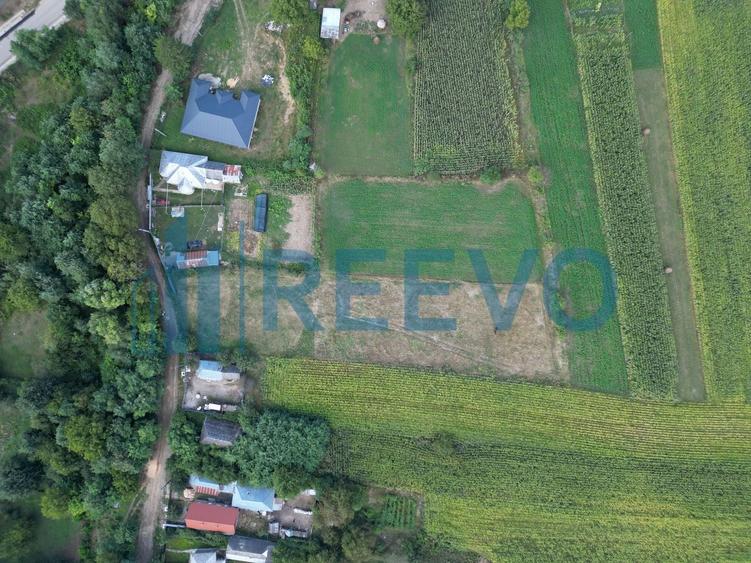 Teren agricol intravilan de 4138 mp, în Blăgești