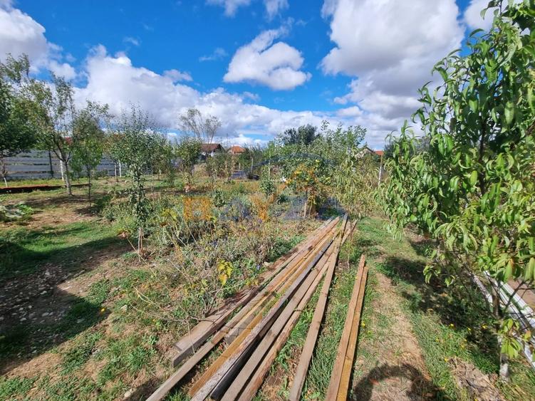 Casă individuală cu 2 camere cu Teren 1375 Mp în Satulung