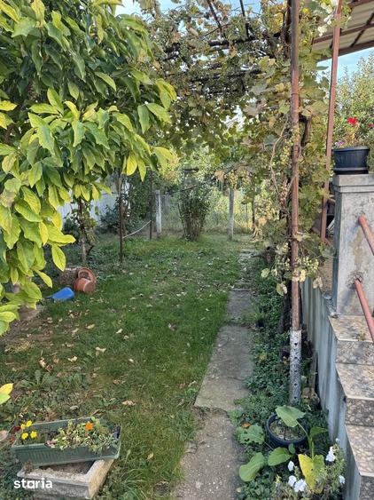 Casă cu 3 camere cu Teren 900 Mp în Central
