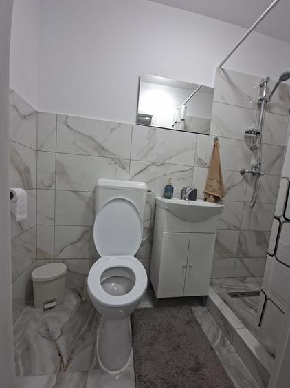 Garsoniera de inchiriat-zona Tractorul (langa Coresi) - 7