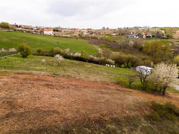 Teren intravilan de 2086 mp, în Dealuri Oradea