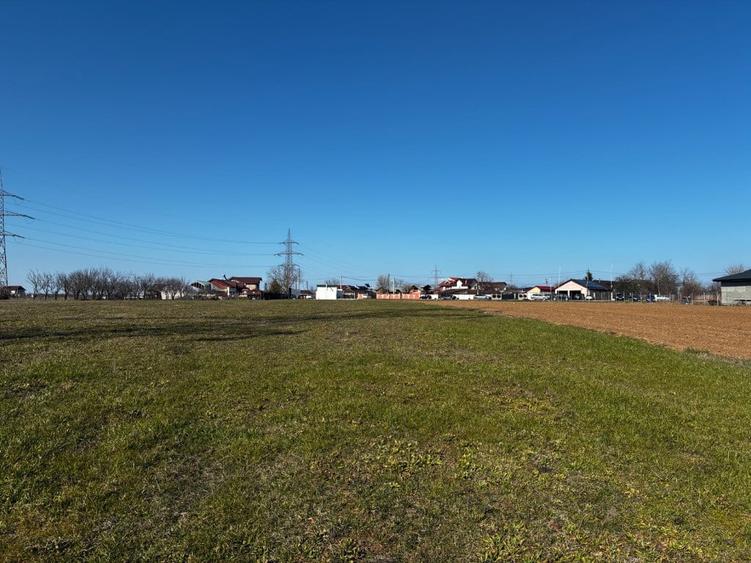 Teren de 3000 mp, în Movila (Niculești)