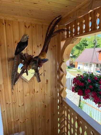 Casă individuală cu 2 camere cu Teren 1400 Mp în Răcoasa