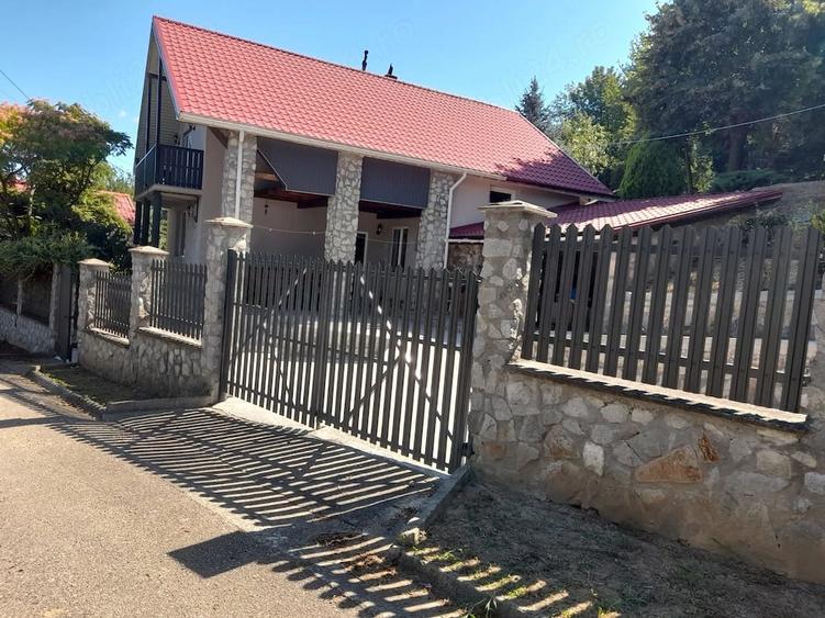 Casă cu Teren 2440 Mp în Sasca Română