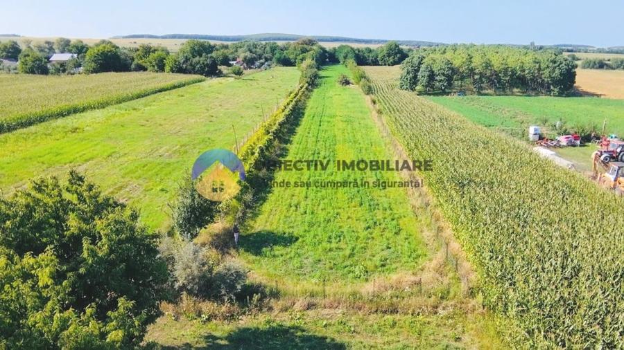 Teren intravilan de 6764 mp, în Vad