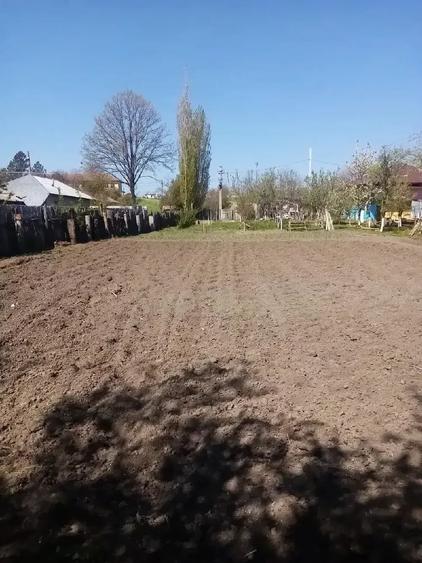 Teren de 700 mp, în Băcălești