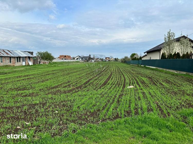 Teren de 3172 mp, în Târgșoru Vechi
