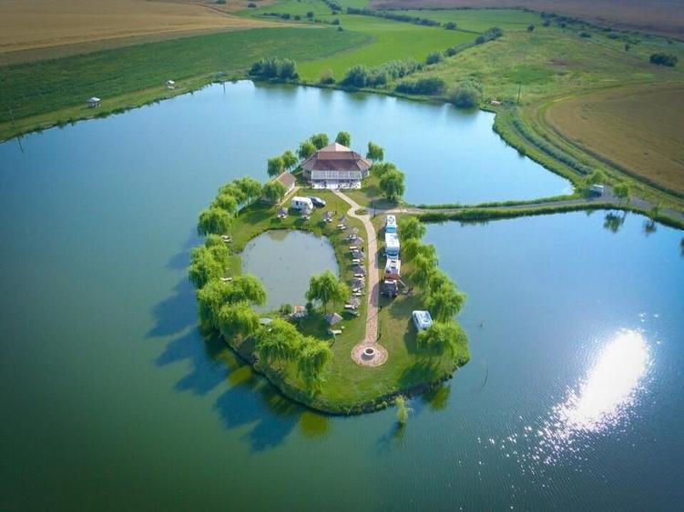 Proprietate specială, de 100 mp, în Orțișoara