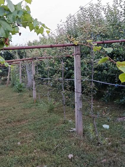 Casă cu 2 camere cu Teren 5862 Mp în Esechioi