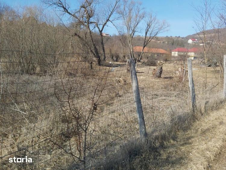 Teren de 980 mp, în Ciurila