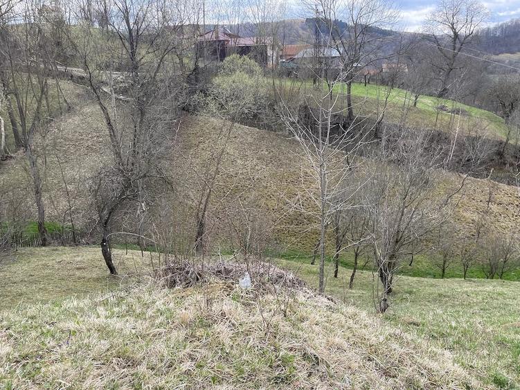 vand 2300m2 teren intravilant comuna secaria - 3