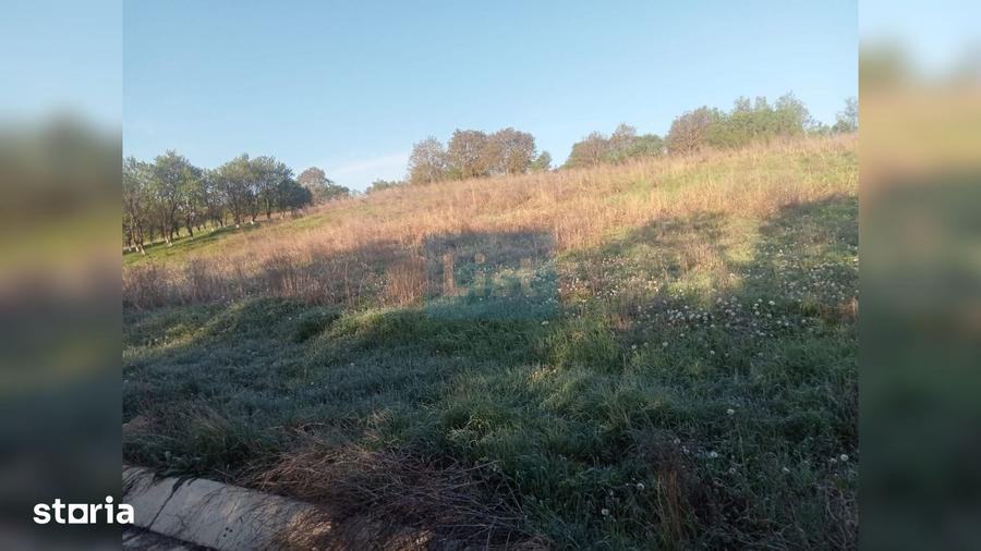 Teren de 12614 mp, în Aluniș
